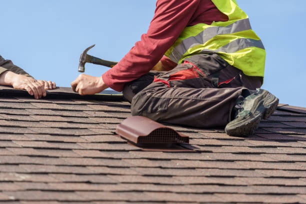 Best Best Roofing Contractors  in Willacoochee, GA