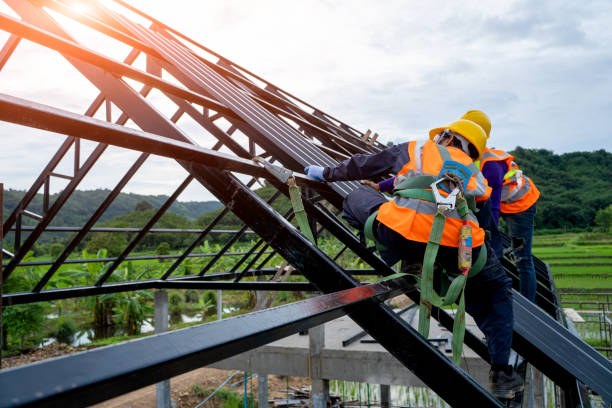 Best Roof Gutter Cleaning  in Willacoochee, GA