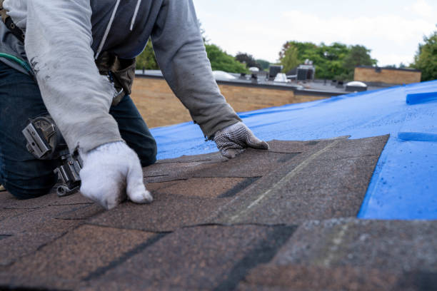 Best Local Roofing Companies  in Willacoochee, GA
