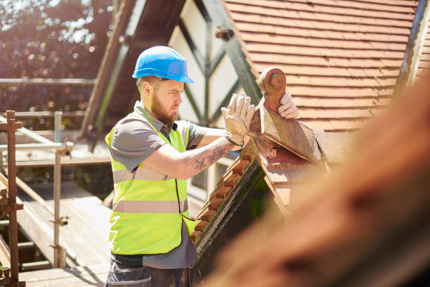 Best Local Roofing Companies  in Willacoochee, GA